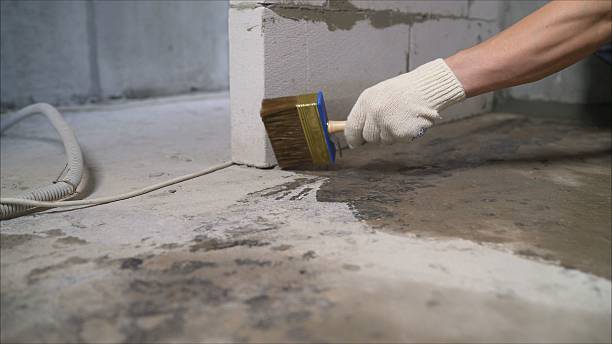 Top rated local Wet Basement Repair specialists in Ansonia, OH